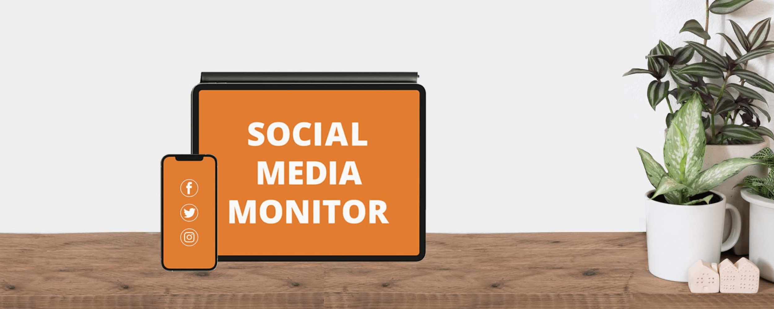 Social media monitor