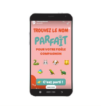Het Franse goede doel G6 gebruikt Instagram stories voor hun advertenties