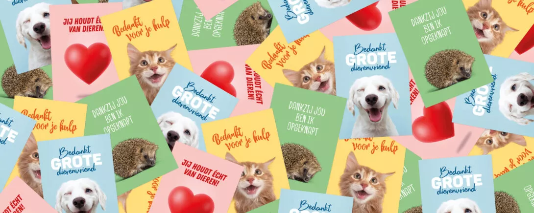 Workshop en brainstorm online leadgeneratie voor Stichting DierenLot