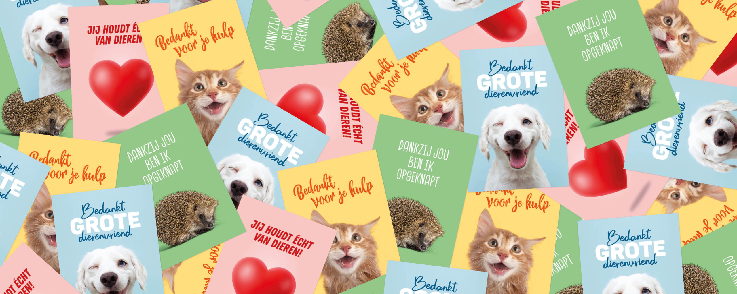 Workshop en brainstorm online leadgeneratie voor Stichting DierenLot
